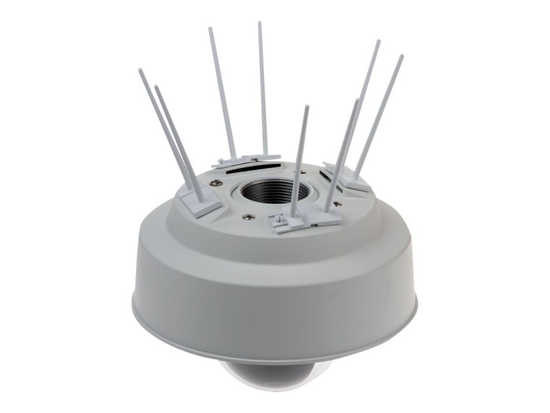 Axis BIRD CONTROL SPIKE 10er-Pack