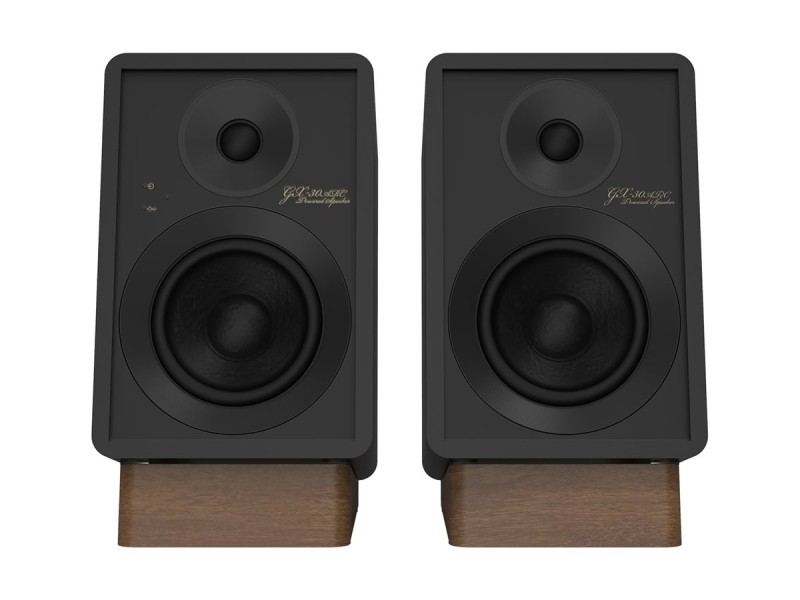 Onkyo GX30-ARC Powered Monitors schwarz