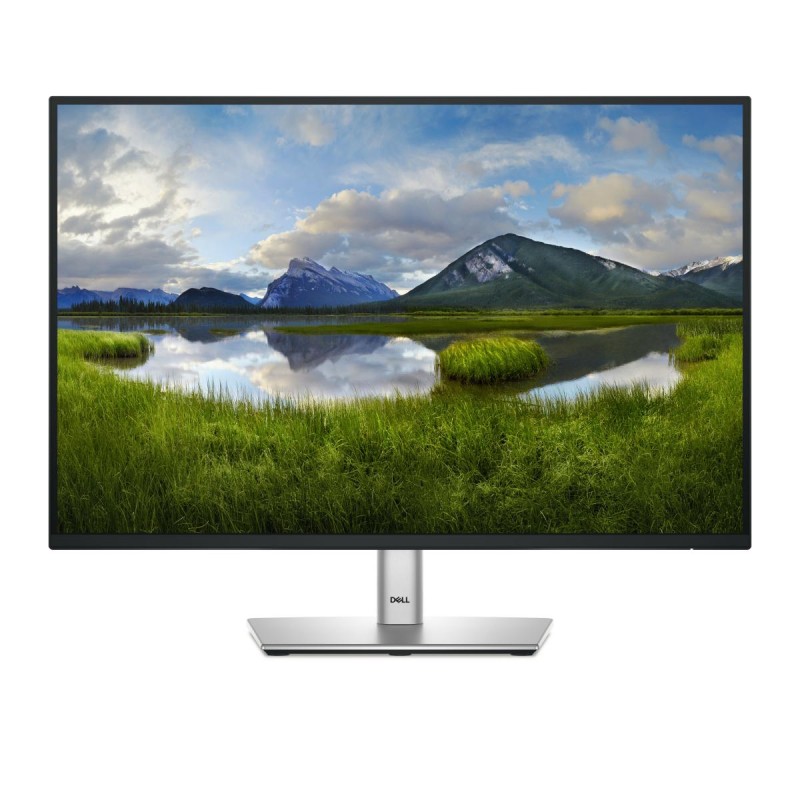 DELL Pro 24 Plus USB-C Hub Monitor P2425E computer monitor 61.1 cm (24.1
