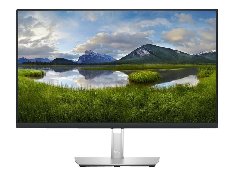 Dell P2423DE - LED monitor - 23.8