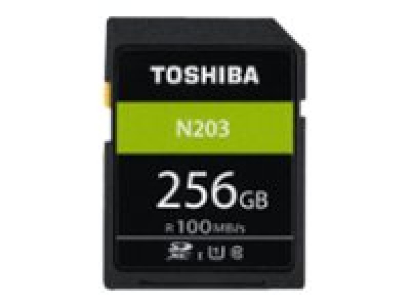 CARD Toshiba SD Exceria R100 N203 256GB
