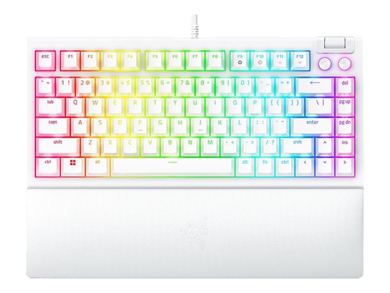 Razer BlackWidow V4 - Keyboard